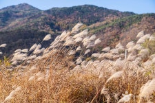 북벽 (2026) - 충청북도 단양군 가볼만한곳 - 관광지랭킹