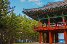 월송정 (2026) - 경상북도 울진군 가볼만한곳 - 관광지랭킹