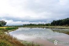 부여 산직지 (2026) - 충청남도 부여군 가볼만한곳 - 관광지랭킹