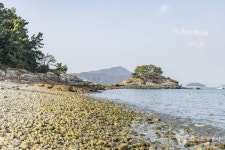 욕지도늘푸른회센타 (2026) - 경상남도 통영시 - 가볼만한곳 - 관광지랭킹