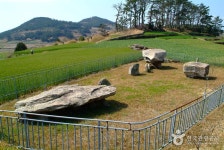 읍리지석묘와 하마비 - 전라남도 완도군 - 가볼만한곳 - 관광지랭킹