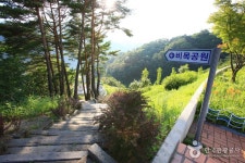 Hwacheon Bimok Park (화천 비목공원) - 관광지랭킹