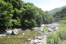 산, 가리왕산 - 캠프위크
