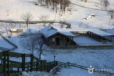 Daegwallyeong Yangtte Ranch (대관령양떼목장) - Korea Tour Ranking