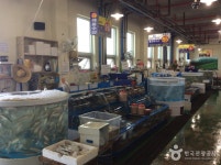 수협 보성회천수산물위판장 - 전라남도 보성군 - 가볼만한곳 - 관광지랭킹