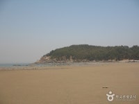 학암포해수욕장 - 캠프위크