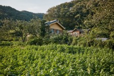 Mujidori Village (Muju Farm Village) (무지돌이마을) - 관광지랭킹