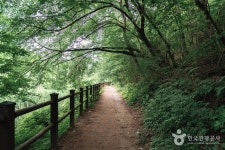 계룡산 수통골 - 대전광역시 유성구 - 가볼만한곳 - 관광지랭킹