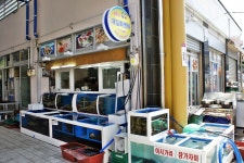 감포공설시장(3, 8일) - 경상북도 경주시 - 가볼만한곳 - 관광지랭킹