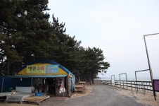 몽산포오토캠핑장2구역 (2026) - 충청남도 태안군 가볼만한곳 - 관광지랭킹