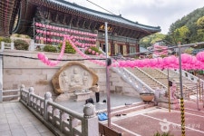 혜원정사(부산) 관광 정보와 주변 관광 명소 및 근처 맛집 여행 정보