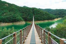 제천 옥순봉 출렁다리 (2026) - 충청북도 제천시 가볼만한곳 - 관광지랭킹