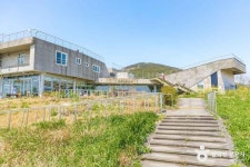 유채꽃프라자 관광 정보와 주변 관광 명소 및 근처 맛집 여행 정보