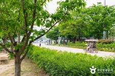 구리한강시민공원(코스모스공원) 관광 정보와 주변 관광 명소 및 근처 맛집 여행 정보