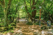관음사야영장 레저스포츠 정보와 주변 관광 명소 및 근처 맛집 여행 정보