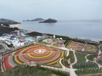 네이버 검색 결과 사진 6