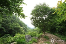 산, 용문산 - 캠프위크