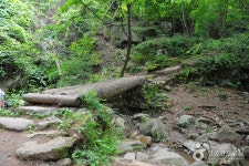 Jungmisan Recreational Forest (중미산자연휴양림) - 관광지랭킹