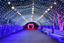 수성빛예술제 - 대구광역시 수성구 - 가볼만한곳 - 관광지랭킹