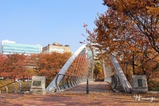 황새울공원 (2026) - 경기도 성남시 분당구 가볼만한곳 - 관광지랭킹