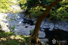 안덕계곡 - 캠프위크