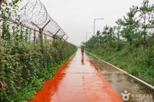 [DMZ 평화의 길] 장항습지생태 코스 - 경기도 고양시 일산동구 - 가볼만한곳 - 관광지랭킹