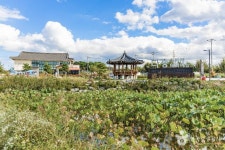 수림가든 - 전북특별자치도 익산시 - 가볼만한곳 - 관광지랭킹