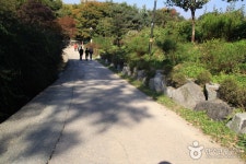 산, 봉화산(서울) - 캠프위크