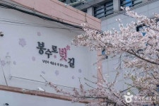 봉숫골 벚꽃길 (2026) - 경상남도 통영시 가볼만한곳 - 관광지랭킹