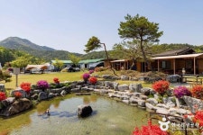 해밀터 레저스포츠 정보와 주변 관광 명소 및 근처 맛집 여행 정보