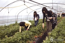 이병주 하동 국제문학제 - 경상남도 하동군 - 가볼만한곳 - 관광지랭킹