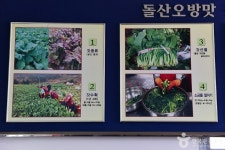 돌산갓 장터마을 - 전라남도 여수시 - 가볼만한곳 - 관광지랭킹
