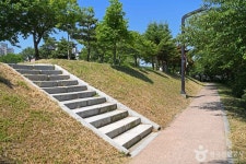 당진천 벚꽃길 (2026) - 충청남도 당진시 가볼만한곳 - 관광지랭킹