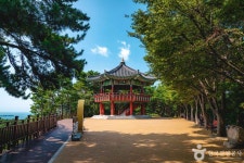해운대 달맞이길 (2026) - 부산광역시 해운대구 가볼만한곳 - 관광지랭킹