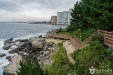 속초 외옹치 바다향기로 - 강원특별자치도 속초시 - 가볼만한곳 - 관광지랭킹