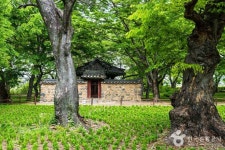 경주 계림 (2026) - 경상북도 경주시 가볼만한곳 - 관광지랭킹