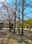 늘푸른체험학교 캠핑장 (2026) - 경상북도 영천시 가볼만한곳 - 관광지랭킹