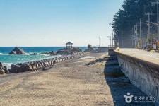 울진 해안도로 (2026) - 경상북도 울진군 가볼만한곳 - 관광지랭킹