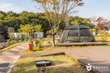 다도해해상 구계등 야영장 레저스포츠 정보와 주변 관광 명소 및 근처 맛집 여행 정보