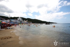 어달해변 - 캠프위크