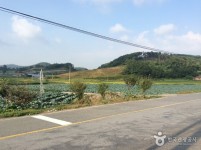 서산 꽃송아리마을 - 충청남도 서산시 - 가볼만한곳 - 관광지랭킹