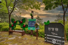 백두대간 생태수목원 - 강원특별자치도 정선군 - 가볼만한곳 - 관광지랭킹