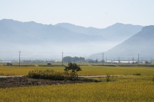 하죽마을 - 전라남도 구례군 - 가볼만한곳 - 관광지랭킹