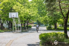 상당공원 (2026) - 충청북도 청주시 상당구 가볼만한곳 - 관광지랭킹