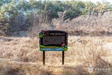 내천못재 (2026) - 경상남도 합천군 가볼만한곳 - 관광지랭킹