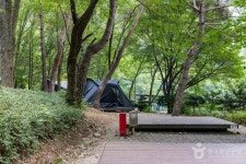 Naver 搜尋結果照片 5