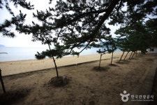 나로우주해수욕장 - 캠프위크