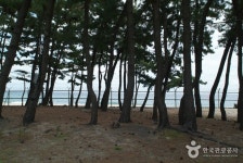 등명해변(등명해수욕장) - 캠프위크