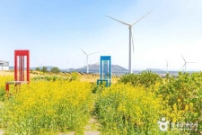 유채꽃프라자 관광 정보와 주변 관광 명소 및 근처 맛집 여행 정보