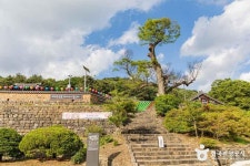 비암사(세종) 관광 정보와 주변 관광 명소 및 근처 맛집 여행 정보